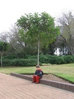 Rothschild Park 009