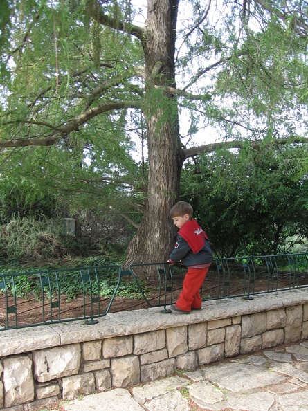 Rothschild Park 014