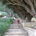Rothschild Park 020