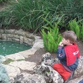 Rothschild Park 025