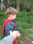 Rothschild Park 026