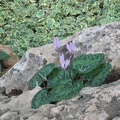 Rothschild Park 027