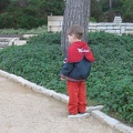 Rothschild Park 029