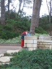 Rothschild Park 030