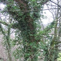 Stirling 046