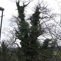 Stirling 047