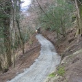 Stirling 073