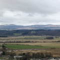 Stirling 216