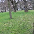 Edinburgh 608