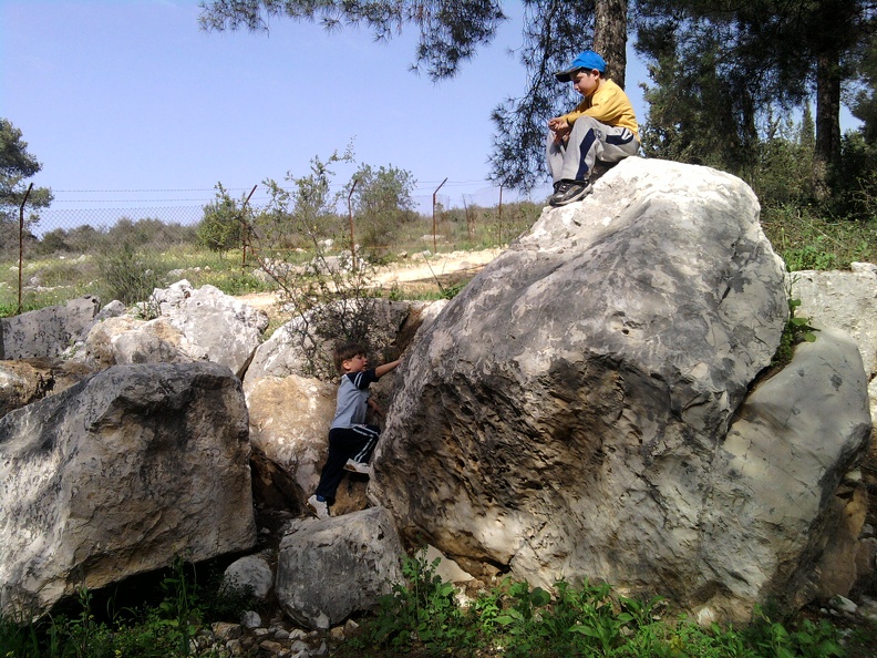 SP_A0113