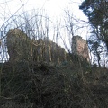 Roslin 111