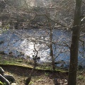 Roslin 114