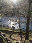 Roslin 114