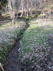 Roslin 115