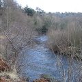Roslin 118