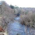 Roslin 119