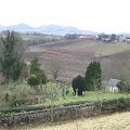 Roslin 025
