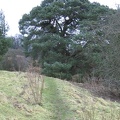 Roslin 027