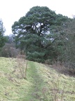Roslin 027