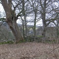 Roslin 029