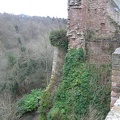 Roslin 037