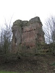 Roslin 039