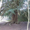 Roslin 050