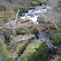 Roslin 057