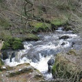 Roslin 058