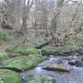 Roslin 060