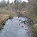 Roslin 068