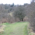 Roslin 070
