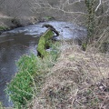 Roslin 071
