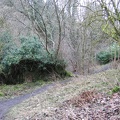 Roslin 080