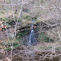 Roslin 081