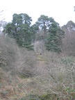Roslin 083