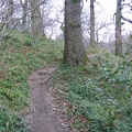 Roslin 084