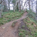 Roslin 085