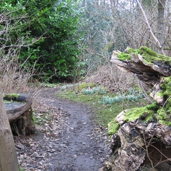 Roslin Glen and Castle