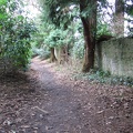 Roslin 094