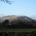 Roslin 096