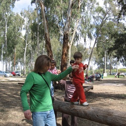 Year 2009