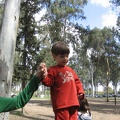 Tel Afek 012