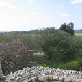 Tel Afek 026