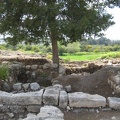 Tel Afek 033