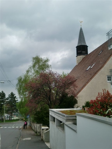 CIMG0310