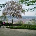CIMG0313