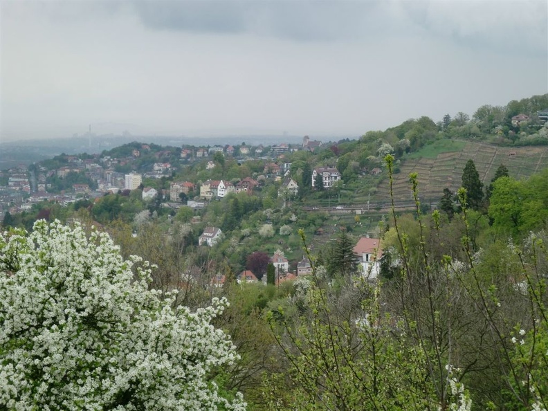 CIMG0315