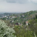 CIMG0315