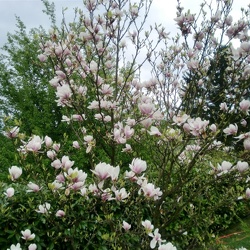 Germany, Spring 2009